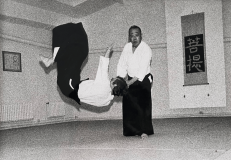 Aikido6_w